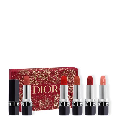 dior rouge lipstick set